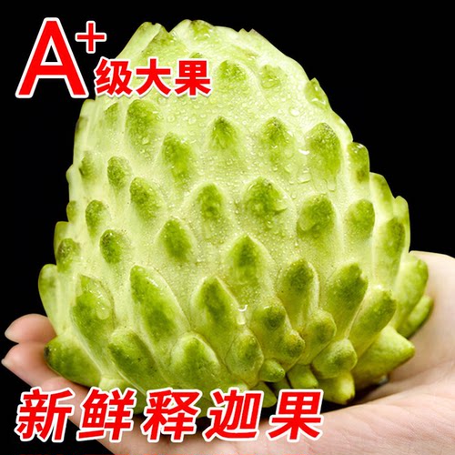 新鲜释迦果现摘包邮凤梨