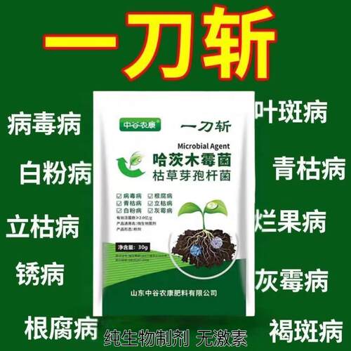 芽孢杆菌病害杀菌微生物菌剂正品