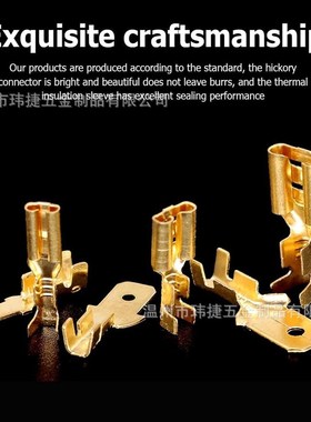 840PCS裸端子2.8/4.8/6.3插簧插片护套 Q接线端子公母对插套装