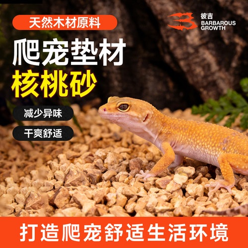 鬓狮蜥蜴守宫爬宠核桃砂垫材除臭无味蜘蛛仓鼠爬虫饲养箱专用垫料