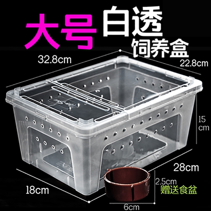 爬宠饲养箱大号人渣盒乌龟冬眠箱保温守宫蜘蛛角蛙蜗牛蜥蜴饲养盒