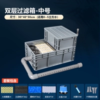 Двойная модель обновления фильтра среднего числа (с дождливым+фильтром+насос+светильник стерилизации+цилиндр висящего из нержавеющей стали)