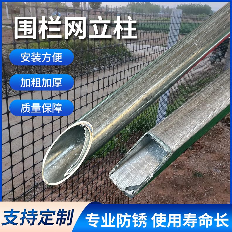 支撑杆钢管围栏标志牌桩立柱杆圆管固定空心尖头葡萄架加厚地镀锌