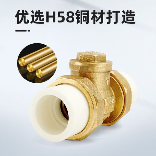 止回阀ppr热熔活接卧式止水阀32逆止阀25单向阀水管水表配件dn20