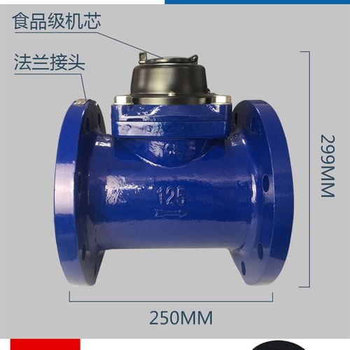 法兰水表dn100/150/80/50浪花连云港可拆卸自来水家用国标水车表