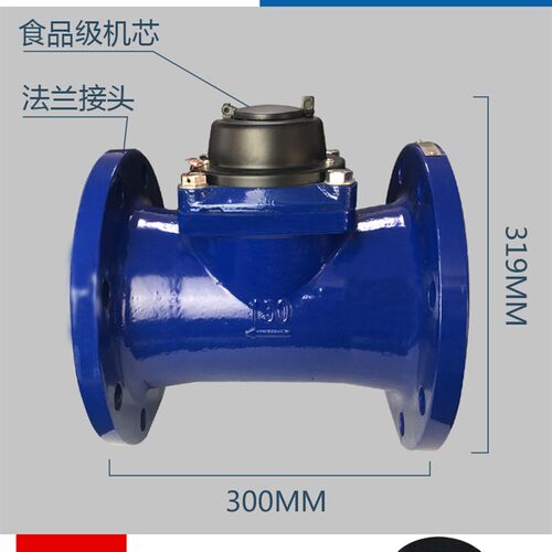 法兰水表dn100/150/80/50浪花连云港可拆卸自来水家用国标水车表