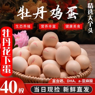 新鲜牡丹鸡蛋40枚无抗富硒谷物喂养宝宝蛋草土自养农村鸡蛋月子蛋