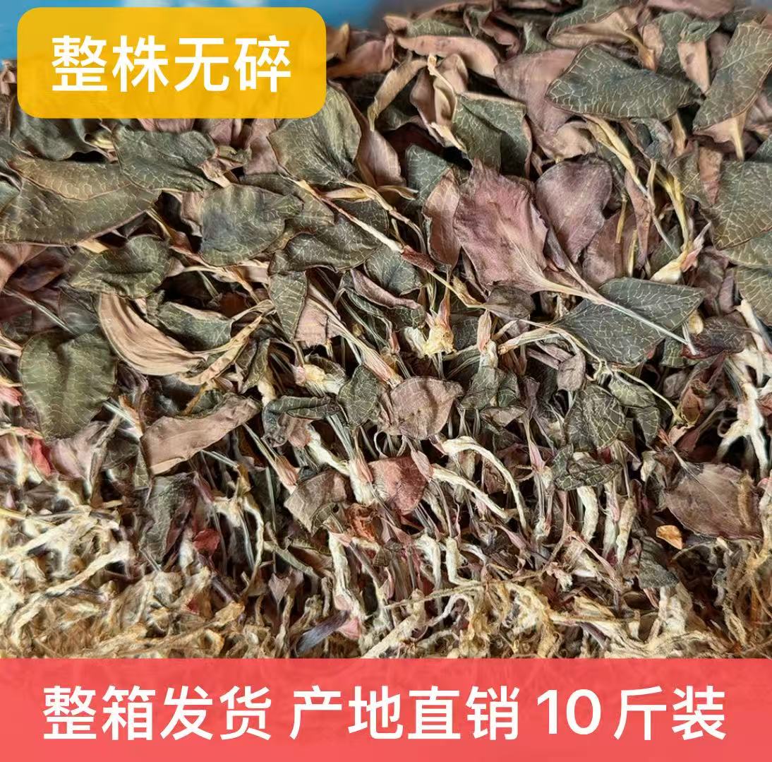 福建省南靖金线莲批发10斤一件 原箱发货 纯金线莲无碎产地直销