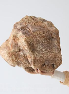 彷真黄色石头沙生石绿植造景不规则假山悬挂橱窗园林景观石摆件