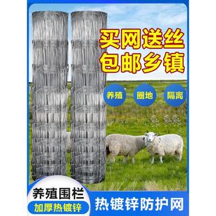 镀锌防锈铁丝网养殖网护栏网防护网牛栏网果园围栏养牛养羊围栏网