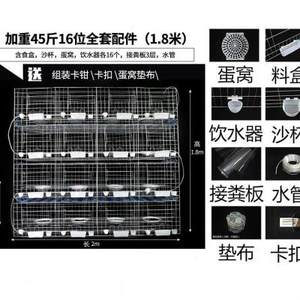 鸽子笼放飞训放笼繁殖笼子三层养殖6位塑料鸽子巢箱鸽棚鸽舍组合