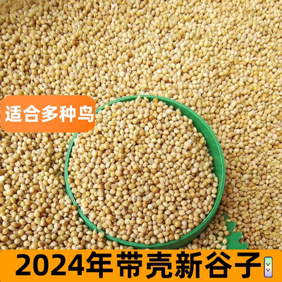 优质新黄谷子无添加带壳鸟食