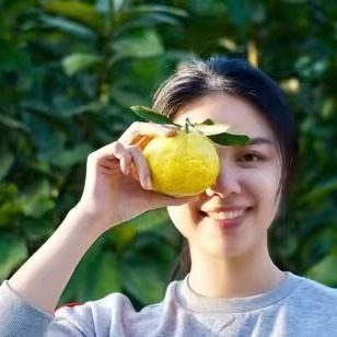 【产地直发】现货秒发包邮黄金贡柚春香丑柑柠檬柑大果水果10 斤