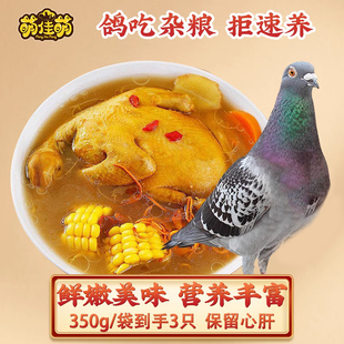 3只农家养殖乳鸽孕妇煲汤新鲜非现杀生态 萌佳萌崇明土鸽子350g