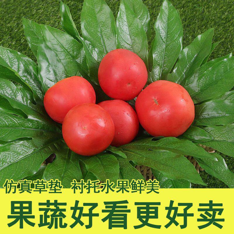 仿真叶子过胶小绿叶杨梅叶水果店礼盒装饰陈列摆件叶子发财叶八角