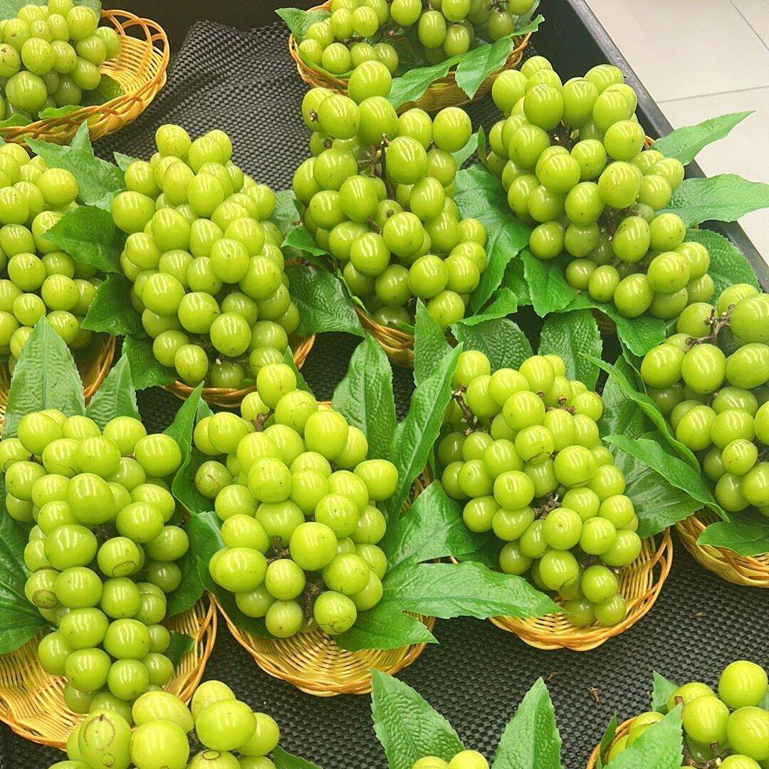 仿真假塑料胶绿叶八角金盘叶生菜叶荷叶香芭蕉叶子水果店装饰