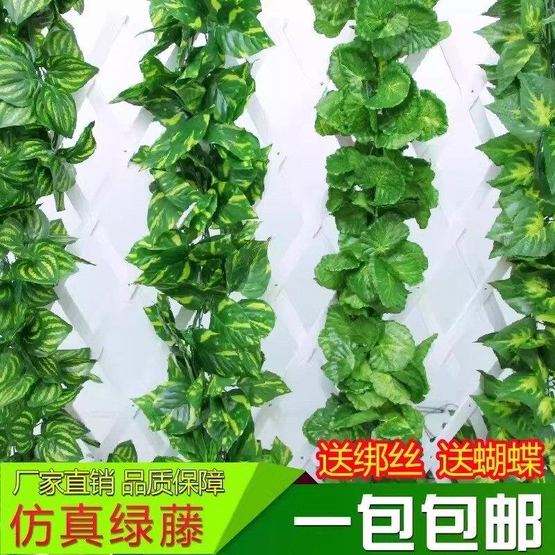 彷真藤条绿萝叶装饰绿藤假树叶藤蔓塑料花藤水管道遮挡空调绿叶花