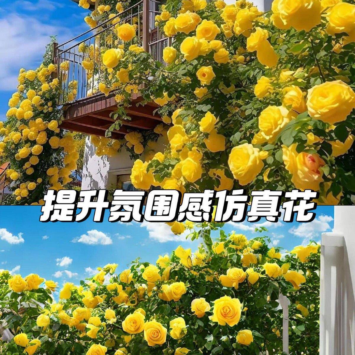 厂家精致高雅玫瑰藤条仿真绢布花朵管道遮挡婚礼场景布置假花藤蔓
