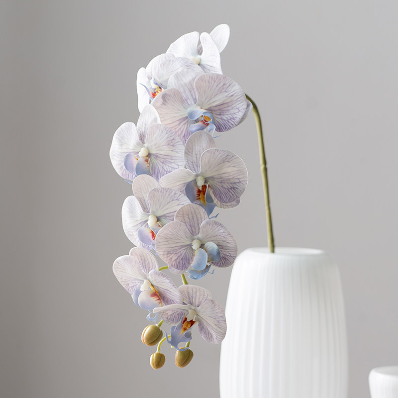 高级仿真蝴蝶兰假花摆件 轻奢手感餐边柜插花茶室软装花艺装饰