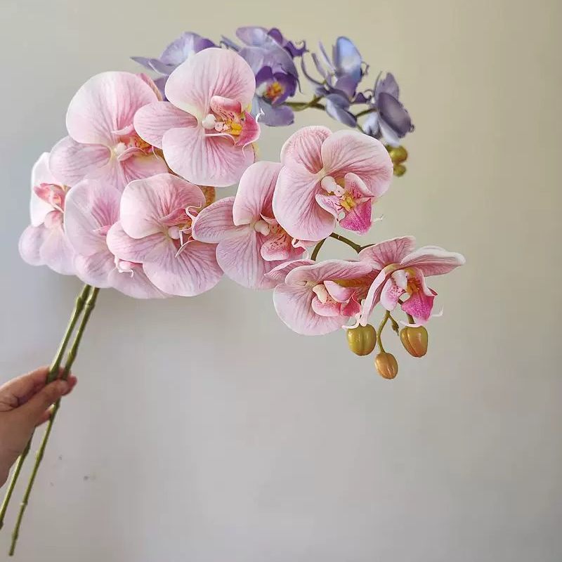 仿真蝴蝶兰轻奢假花 湿感逼真客厅电视柜桌面插花家居造景摆件