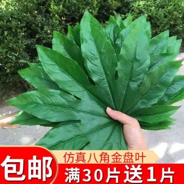 仿真八角金盘叶子水果店塑料花假叶摆盘垫烧烤店装饰蛋糕店熟食店