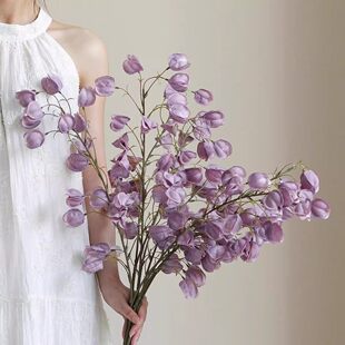 仿真灯笼果风铃果仿真花年宵花家居摆设红果北欧创意网红现代中式