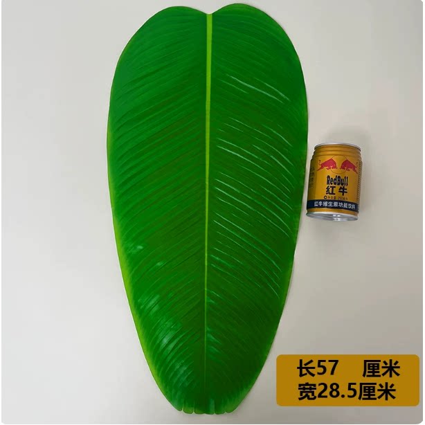 塑料软芭蕉叶仿真大绿叶子水果店餐厅食物垫底装饰假树叶香蕉叶子