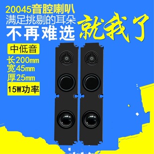 精歌源矩形20045音箱腔体8欧15W广告机多媒体BOX双振膜喇叭扬声器