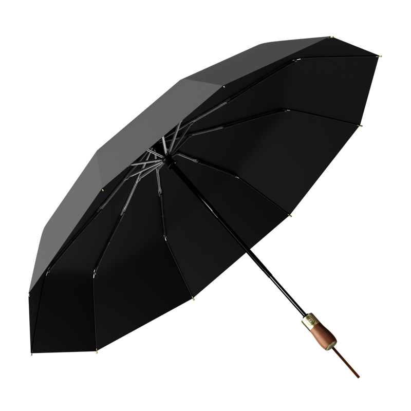 十骨全自动雨伞抗风暴男士定制加大双人女折叠高档大号伞加固加厚