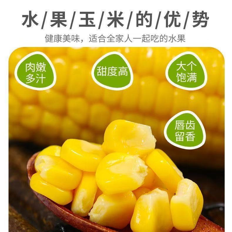 青云乐即食甜玉米段低脂代餐