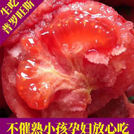 陕西泾阳普罗旺斯西红柿自产自销