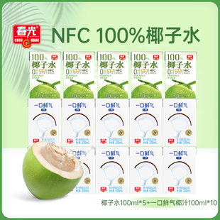 一口鮮氣椰汁飲料椰青椰子汁果汁 春光食品海南特產100%椰子水