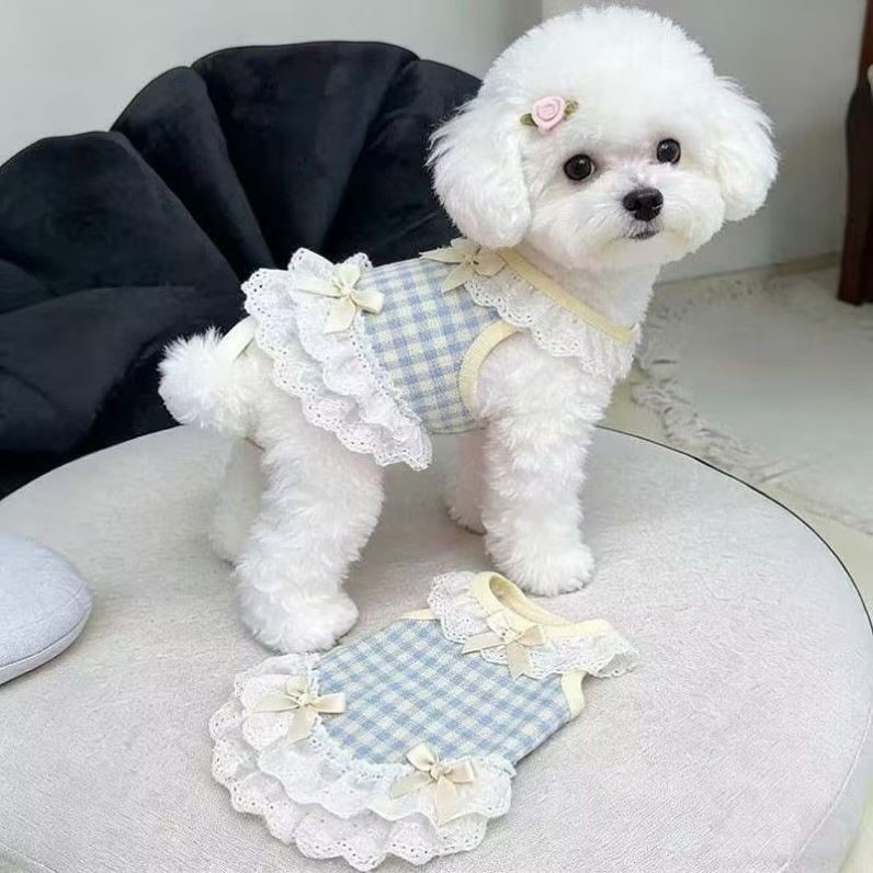 宠物狗狗猫咪衣服夏季薄款小型幼犬泰迪比熊约克夏蝴蝶结花边背心