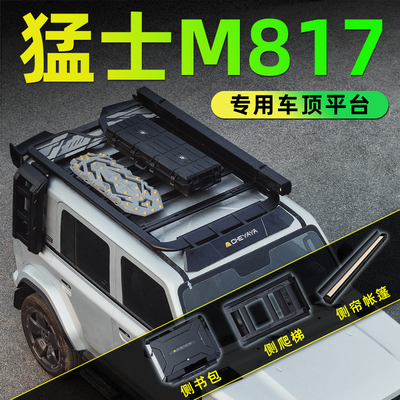 东风猛士M817车顶平台侧爬梯侧帐