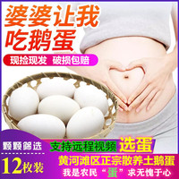 黄河滩特大鹅蛋生鲜正宗土鹅蛋农家散养新鲜孕妇去胎毒超大12枚装