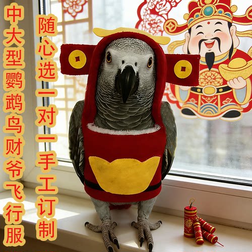 财神新年款鹦鹉鸟加绒保暖飞行服