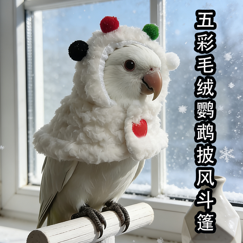 五彩毛绒鹦鹉斗篷披风小鸟类衣服冬季保暖防冻睡袍可爱宠物遛鸟服,宠物/宠物食品及用品,鸟禽服饰,淘宝优惠券,粉丝福利购,淘宝优惠卷
