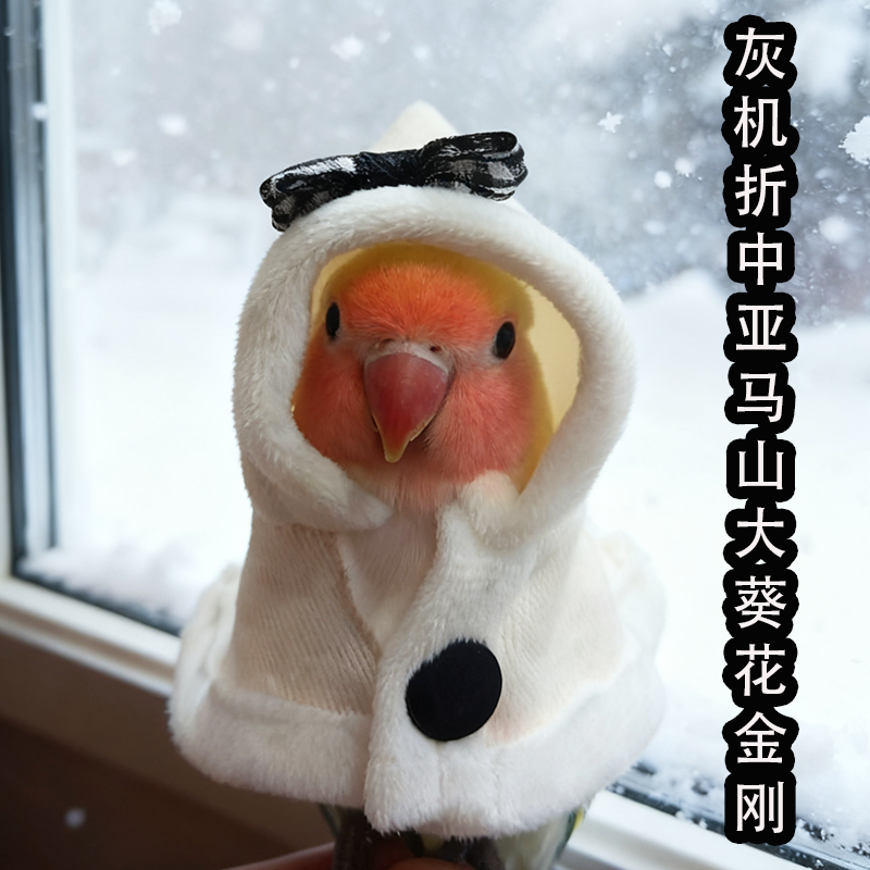 温柔公主风鹦鹉斗篷披风小鸟衣服冬季保暖防冻拍照遛鸟用外出服饰,宠物/宠物食品及用品,鸟禽服饰,淘宝优惠券,粉丝福利购,淘宝优惠卷