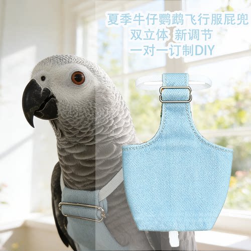 立体夏季鹦鹉鸟飞行服屎兜尿不湿