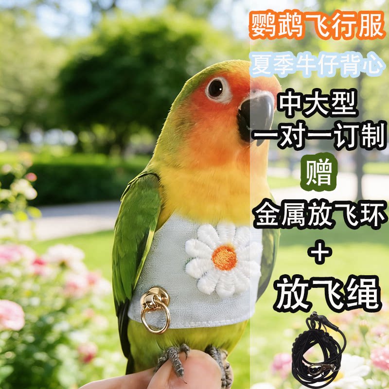 牛仔鹦鹉飞行服金属牵引防飞送绳