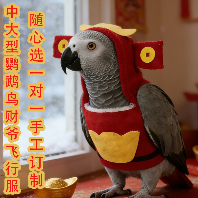新年财神款鹦鹉飞行服小鸟类衣服冬季加绒保暖服喜庆遛鸟拜年服饰,宠物/宠物食品及用品,鸟禽服饰,淘宝优惠券,粉丝福利购,淘宝优惠卷