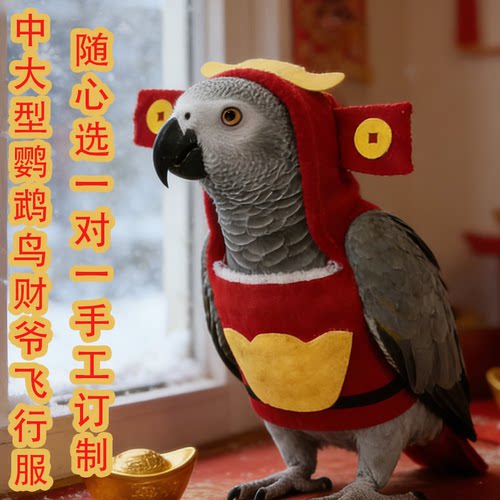 新年财神鹦鹉加绒保暖飞行服卫衣