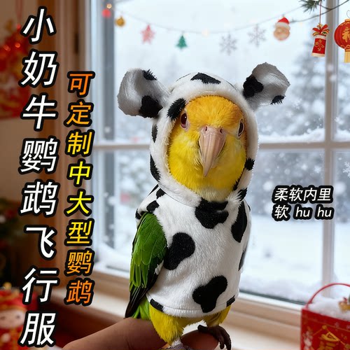 小奶牛鹦鹉飞行服冬季保暖防冻衣