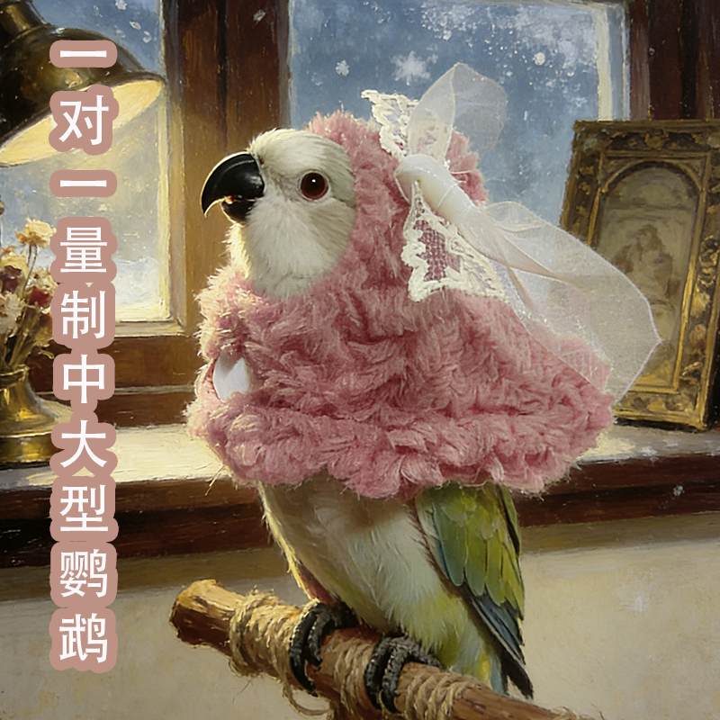 花边蝴蝶结鹦鹉斗篷披风小鸟类衣服冬季保暖防冻睡袍遛鸟外出服饰,宠物/宠物食品及用品,鸟禽服饰,淘宝优惠券,粉丝福利购,淘宝优惠卷