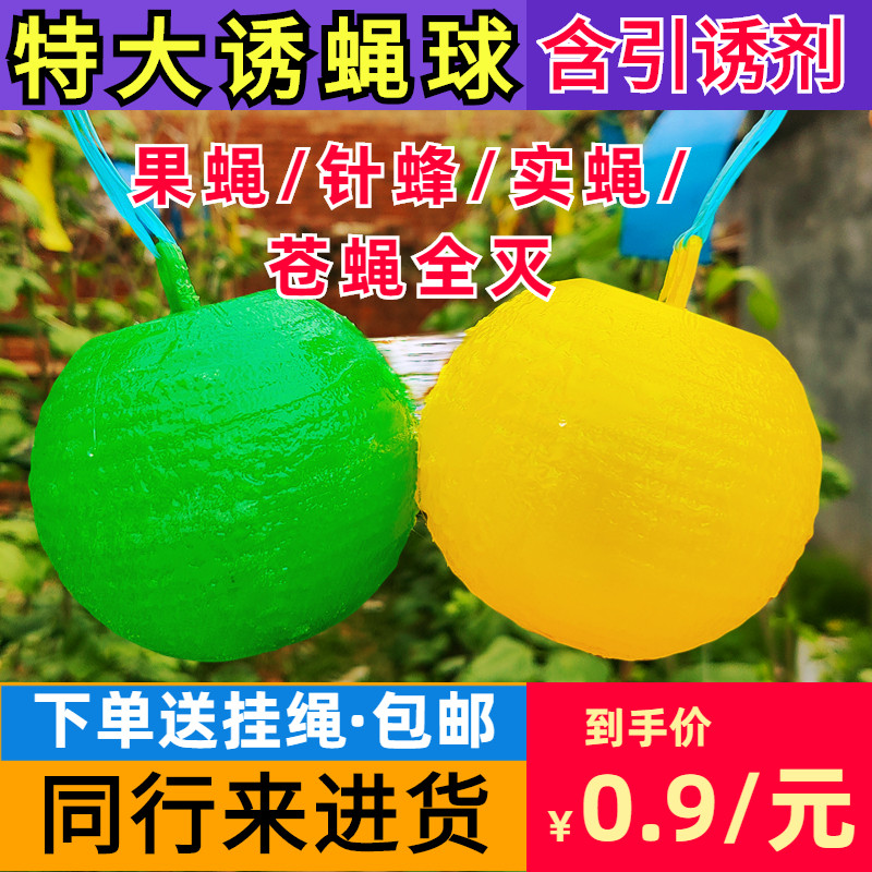 柑橘诱蝇球大食蝇球果实蝇针蜂金苍蝇粘虫球苦瓜菜果园果蝇诱捕器