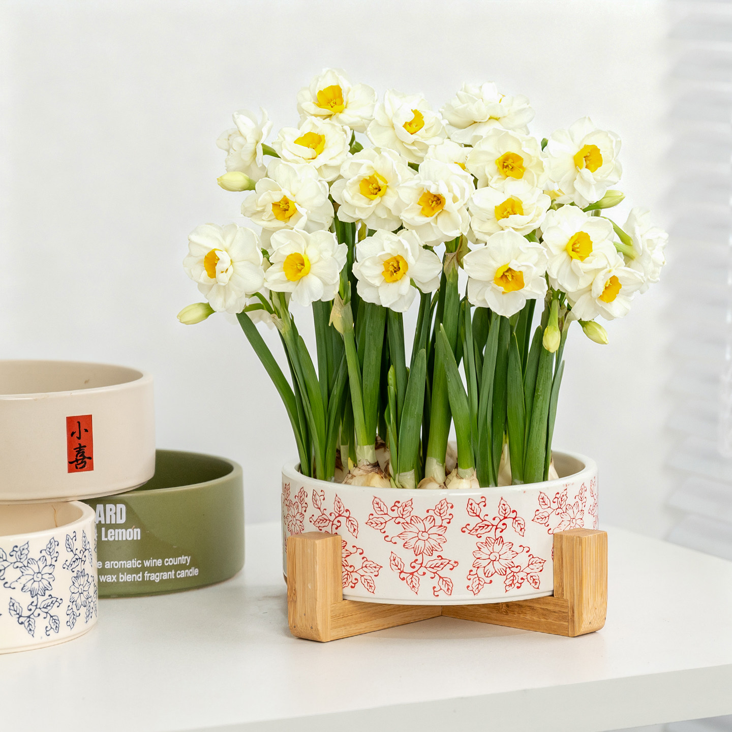 水仙花铜钱草苔藓球水培植物器皿专用陶瓷花盆宠物碗无孔盆器