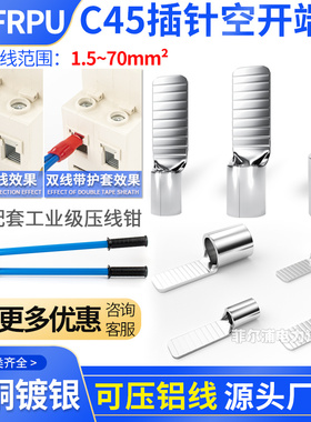 C45-1.5/4/6/10/16插片插针空气开关冷压端子压接线耳紫铜线鼻子