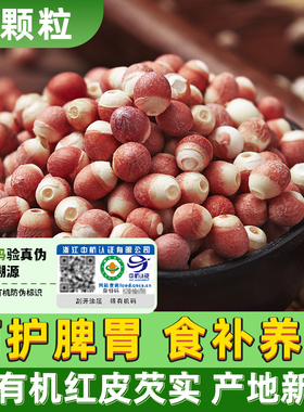 【无硫无臭10mm大颗粒】有机芡实干货500g特级2025鸡头米肇庆品种