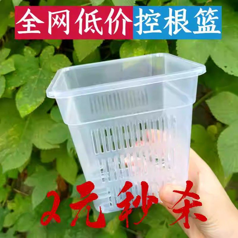 水培植物控根盆水菖蒲水竹美人蕉盆栽方盆加厚透气塑料花盆定植篮