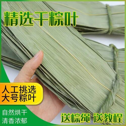 干粽叶大叶天然野生晒干大粽叶新鲜粽子叶批发120片装粽叶送棉绳